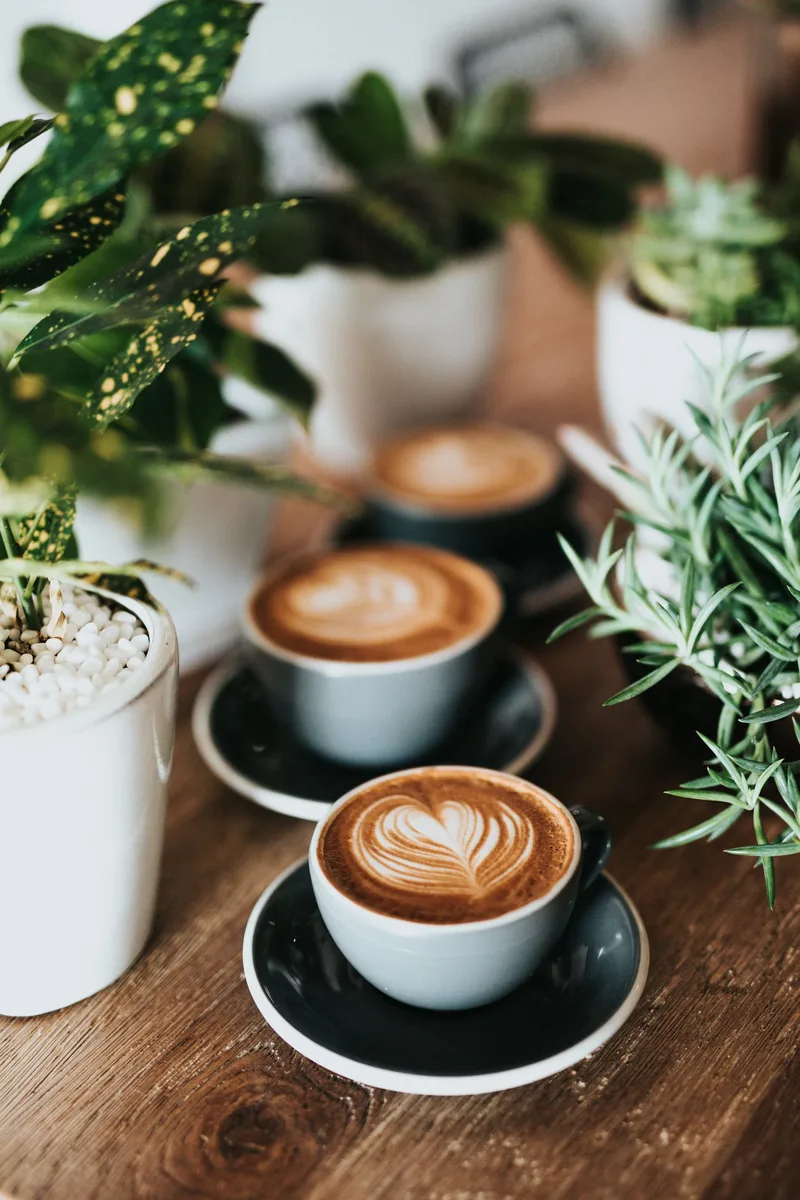 Coffee at Brew & Co